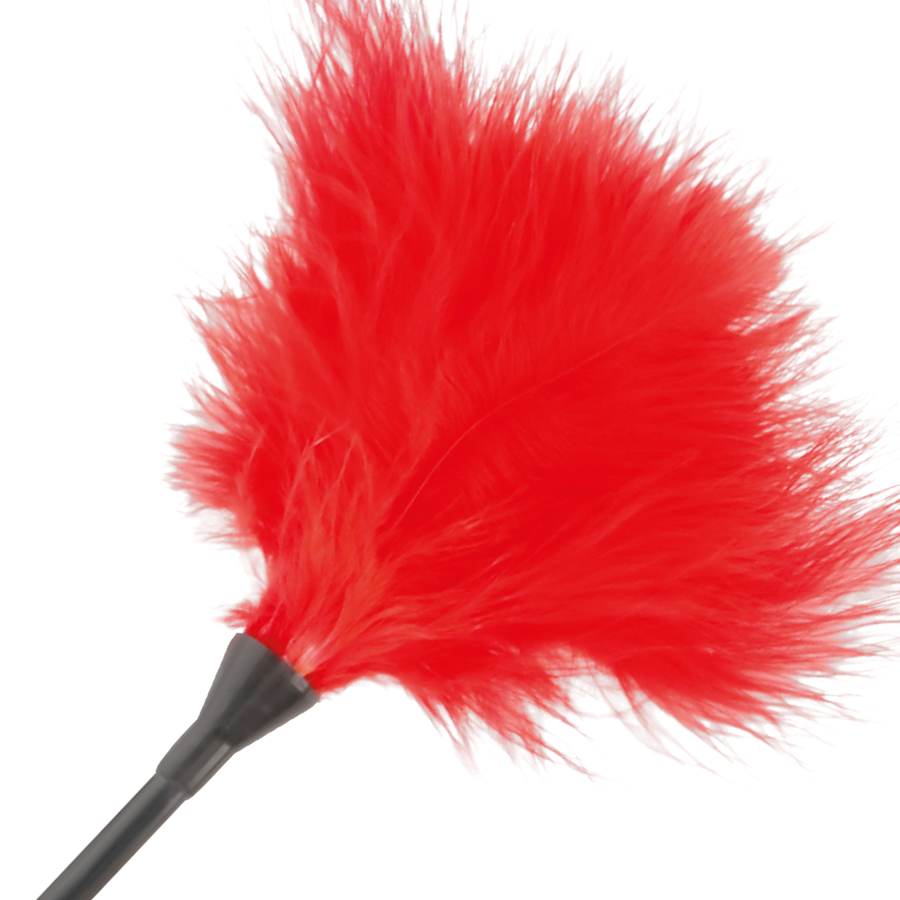 img_78841_de7d0ddffd084e436c9ff5bdcd224c48_1.png